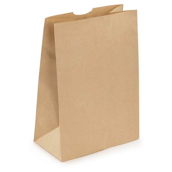 Sac kraft brun sans poignées 30x43x18 cm - 1
