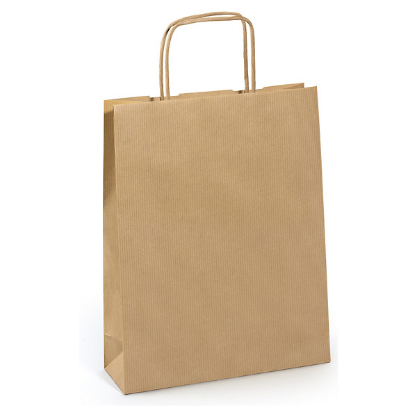 Sac kraft brun à poignées torsadées RAJA 24x34x8 cm - 1