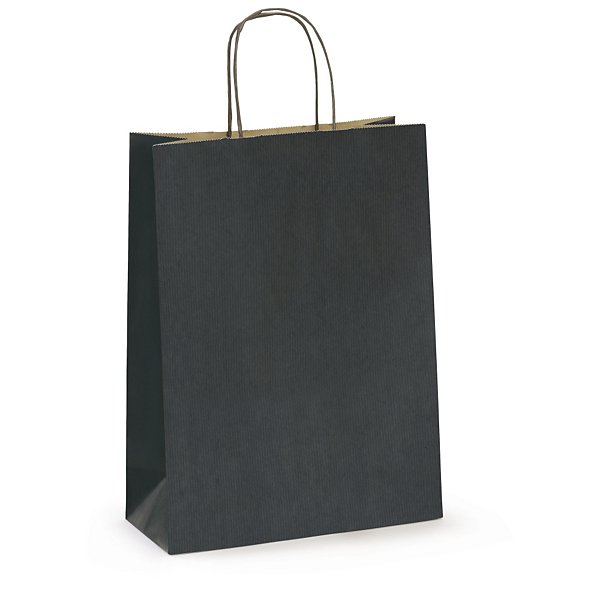 Sac kraft intérieur brun lisse bleu à poignées torsadées RAJA 25 x 31 x 11 cm - 3