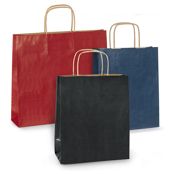 Sac kraft intérieur brun lisse bleu à poignées torsadées RAJA 25 x 31 x 11 cm - 1
