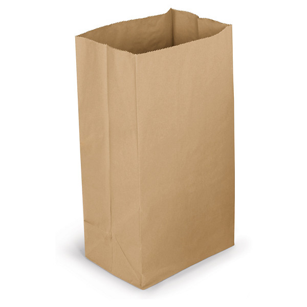 Sac papier économique en kraft brun 140 g/m² 36x90x24 cm - 1