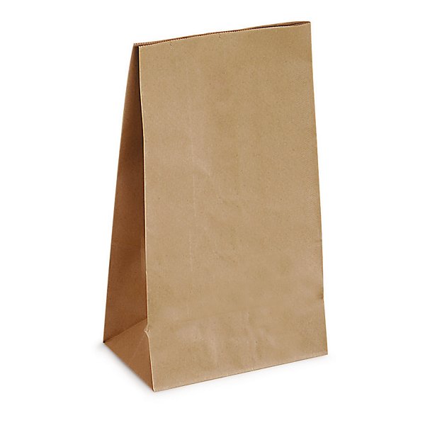 Sac papier économique en kraft brun 18 x 11 x 35 7 cm - 3