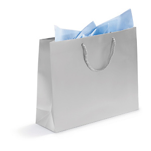 Sac papier pelliculé argent mat spécial salon 40x32x12 cm Sac papier pelliculé argent mat spécial salon 40x32x12 cm