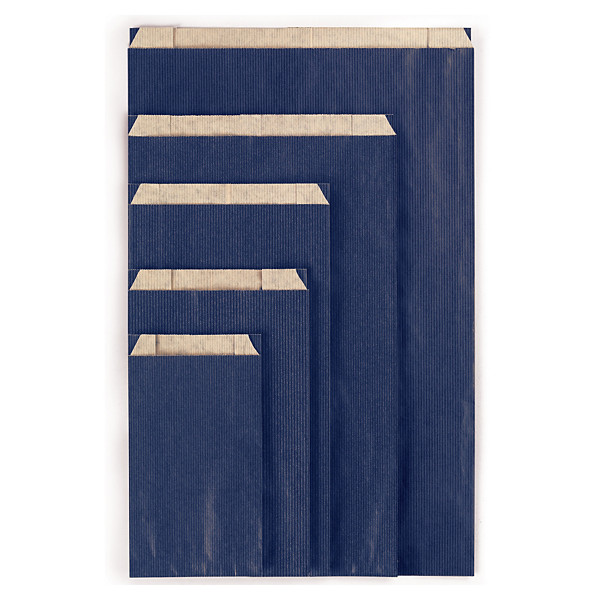 Sachet kraft classique bleu 16x8x25cm - 1