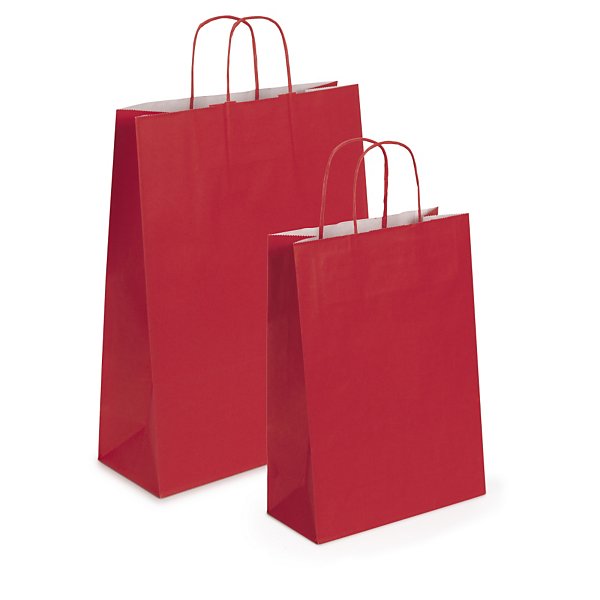 Saco de papel kraft liso RAJA - 3