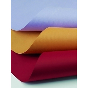SADIPAL Fusion Papel Kraft, Rollo, 1 x 25 m, Azul Cielo SADIPAL Fusion Papel Kraft, Rollo, 1 x 25 m, Azul Cielo