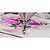 SAKURA Peinture aquarelle Koi Water Colors Sketch Box 12 - 3