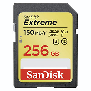SanDisk Carte mémoire Extreme - 256 Go - SDXC UHS-I