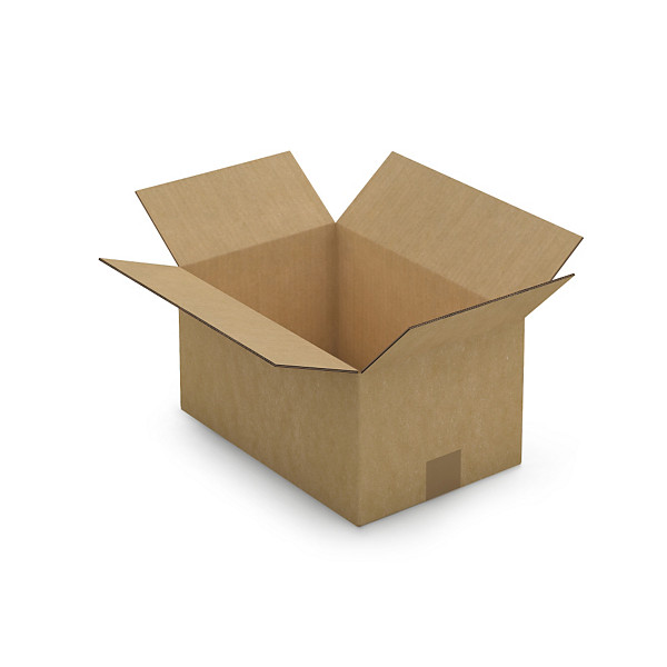 Scatole cartone due onde avana RAJA 35x23x18 cm - 1