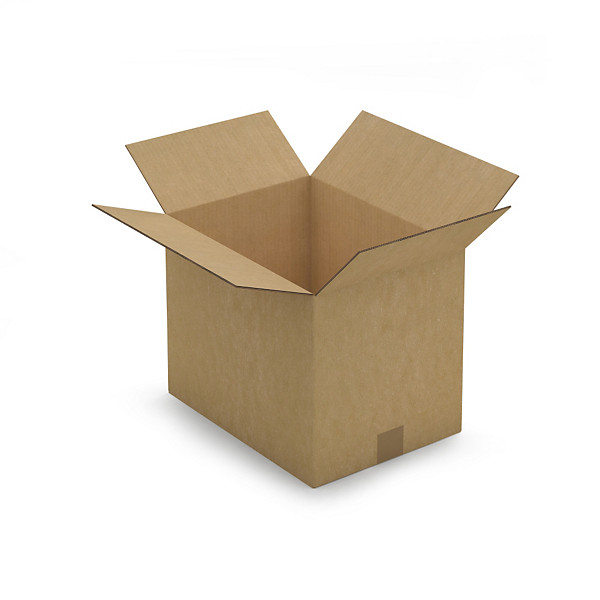 Scatole cartone due onde avana RAJA 38x28x30 cm - 1