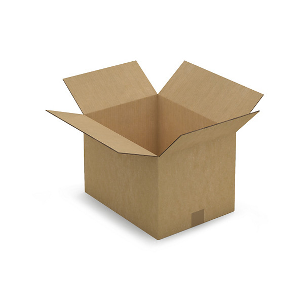 Scatole cartone due onde avana RAJA 40x30x27 cm - 1