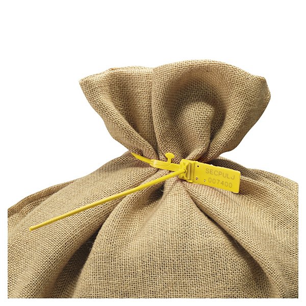 Scellé grande longueur à tige lisse - 3