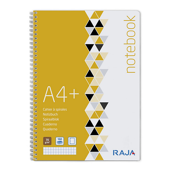 Spiraalblok Standaard 230 X 297 mm geruit 5 x 5 mm RAJA - 1