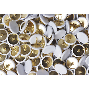 Staples Chinchetas, cabeza de plástico blanca, paquete de 120 Staples Chinchetas, cabeza de plástico blanca, paquete de 120