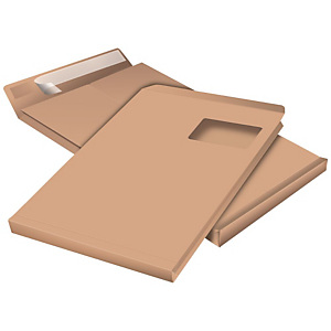 Staples Pochette à soufflet 3 cm en kraft blond C - 229 x 324 mm 120g avec fenêtre - bande autoadhésive Staples Pochette à soufflet 3 cm en kraft blond C - 229 x 324 mm 120g avec fenêtre - bande autoadhésive