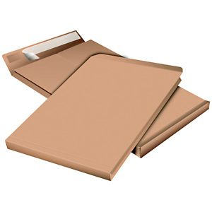 Staples Pochette à soufflet 3 cm en kraft blond armé C4 - 229 x 324 mm 130g sans fenêtre - bande autoadhésive Staples Pochette à soufflet 3 cm en kraft blond armé C4 - 229 x 324 mm 130g sans fenêtre - bande autoadhésive