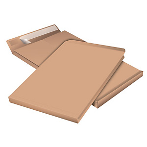 Staples Pochette à soufflet 5 cm en kraft blond armé 280 x 380 mm 130g sans fenêtre - bande autoadhésive Staples Pochette à soufflet 5 cm en kraft blond armé 280 x 380 mm 130g sans fenêtre - bande autoadhésive