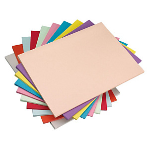 Staples Subcarpeta de cartulina 160 g/m² surtido pastel Staples Subcarpeta de cartulina 160 g/m² surtido pastel