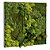 Tableau végétal de décoration - Mousse de Finlande stabilisée et 100% naturelle - Cadre carré blanc - 1