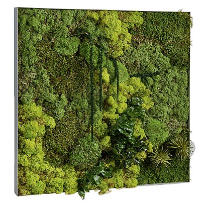 Tableau végétal de décoration - Mousse de Finlande stabilisée et 100% naturelle - Cadre carré blanc - 1