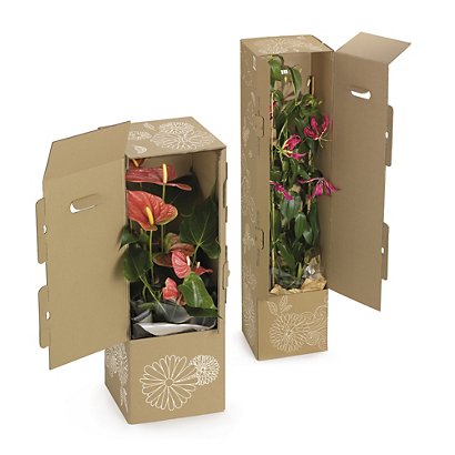Tall postal box for plants - 1