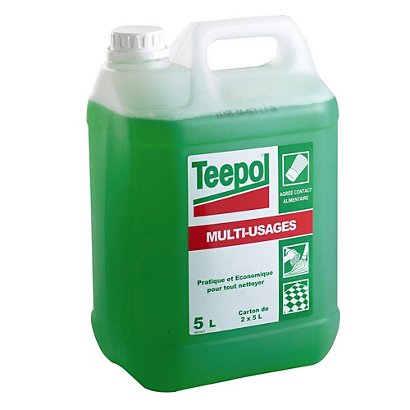 Teepol Bidon de détergent liquide multi-usage vert 5 l