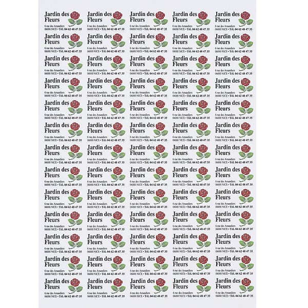 Étiquette polyvalente angles arrondis boîte 100 planches RAJA - 2