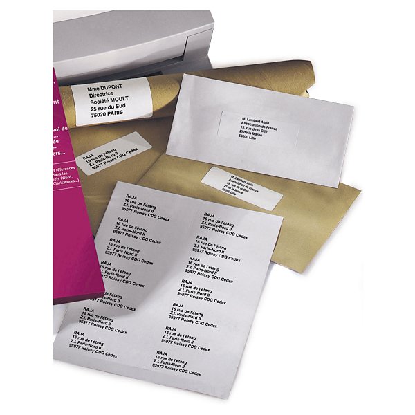 Étiquette polyvalente angles arrondis boîte 100 planches RAJA - 3