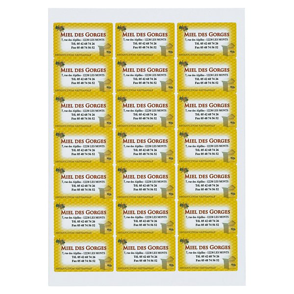 Étiquette polyvalente angles arrondis boîte 100 planches RAJA - 4