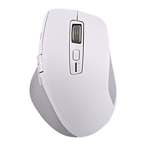 TNB Souris sans fil rechargeable droitier INFINITEPRO - Bluetooth + Dongle USB-A 2,4 GHz - Blanc TNB Souris sans fil rechargeable droitier INFINITEPRO - Bluetooth + Dongle USB-A 2,4 GHz - Blanc