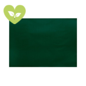 Tovaglietta monouso 100% pura cellulosa, Riciclabile, 30 x 40 cm, Verde (confezione 250 pezzi)