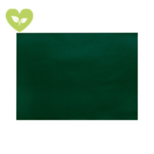 Tovaglietta monouso 100% pura cellulosa, Riciclabile, 30 x 40 cm, Verde (confezione 250 pezzi) Tovaglietta monouso 100% pura cellulosa, Riciclabile, 30 x 40 cm, Verde (confezione 250 pezzi)