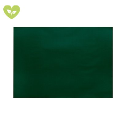 Tovaglietta monouso 100% pura cellulosa, Riciclabile, 30 x 40 cm, Verde (confezione 250 pezzi)
