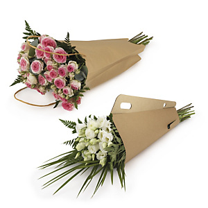 Cône de transport avec anses pour fleurs Cône de transport avec anses pour fleurs