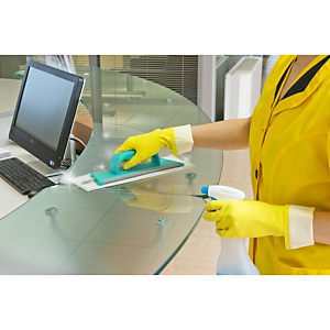 TTS Kit Pulizia Vetri Clean Glass TTS Kit Pulizia Vetri Clean Glass