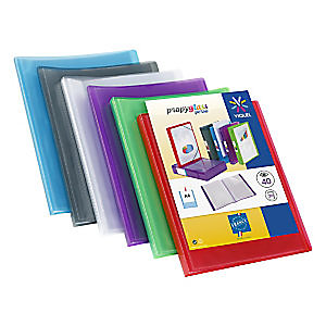 Viquel Protége-documents personnalisable Propyglass 20 pochettes couverture polypropylène coloris assortis