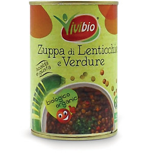 VIVIBIO Zuppa di Lenticchie e Verdure Bio, Latta da 400 g