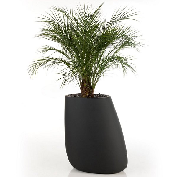 VONDOM Vaso da esterno Stone, 60 x 46 x 70 cm, Nero - 3