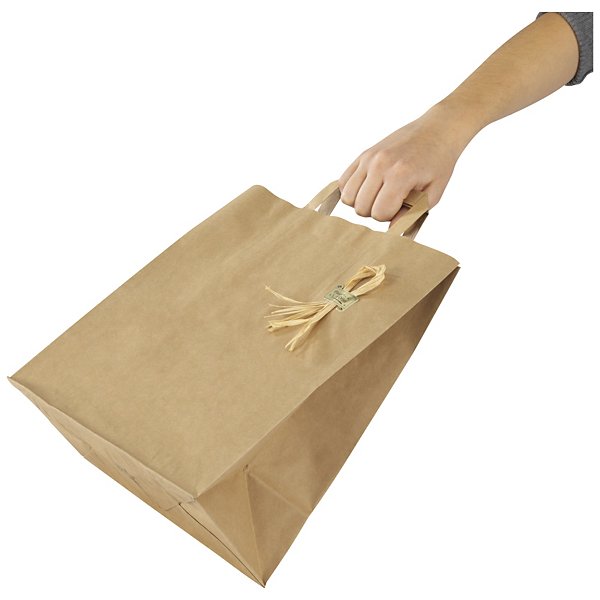 Voordelige bruine kraftpapieren draagtas 22 x 28 x 10 cm - 2