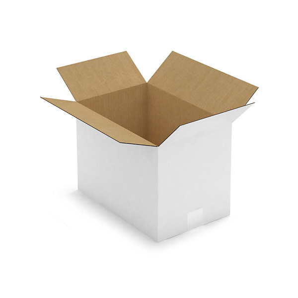Witte doos van enkelgolfkarton RAJA 35 x 23 x 25 cm - 1