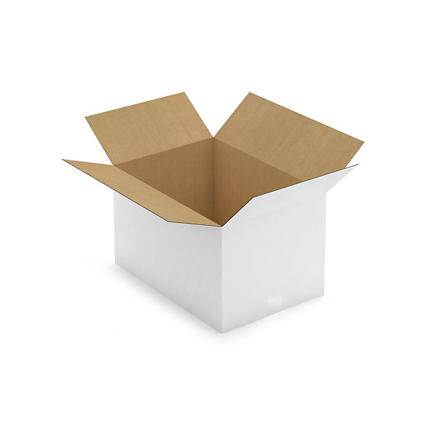 Witte doos van enkelgolfkarton RAJA 50 x 35 x 30 cm - 1