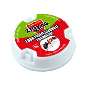 Zig Zag Insetticida antiformiche esca in gel 10 g Zig Zag Insetticida antiformiche esca in gel 10 g
